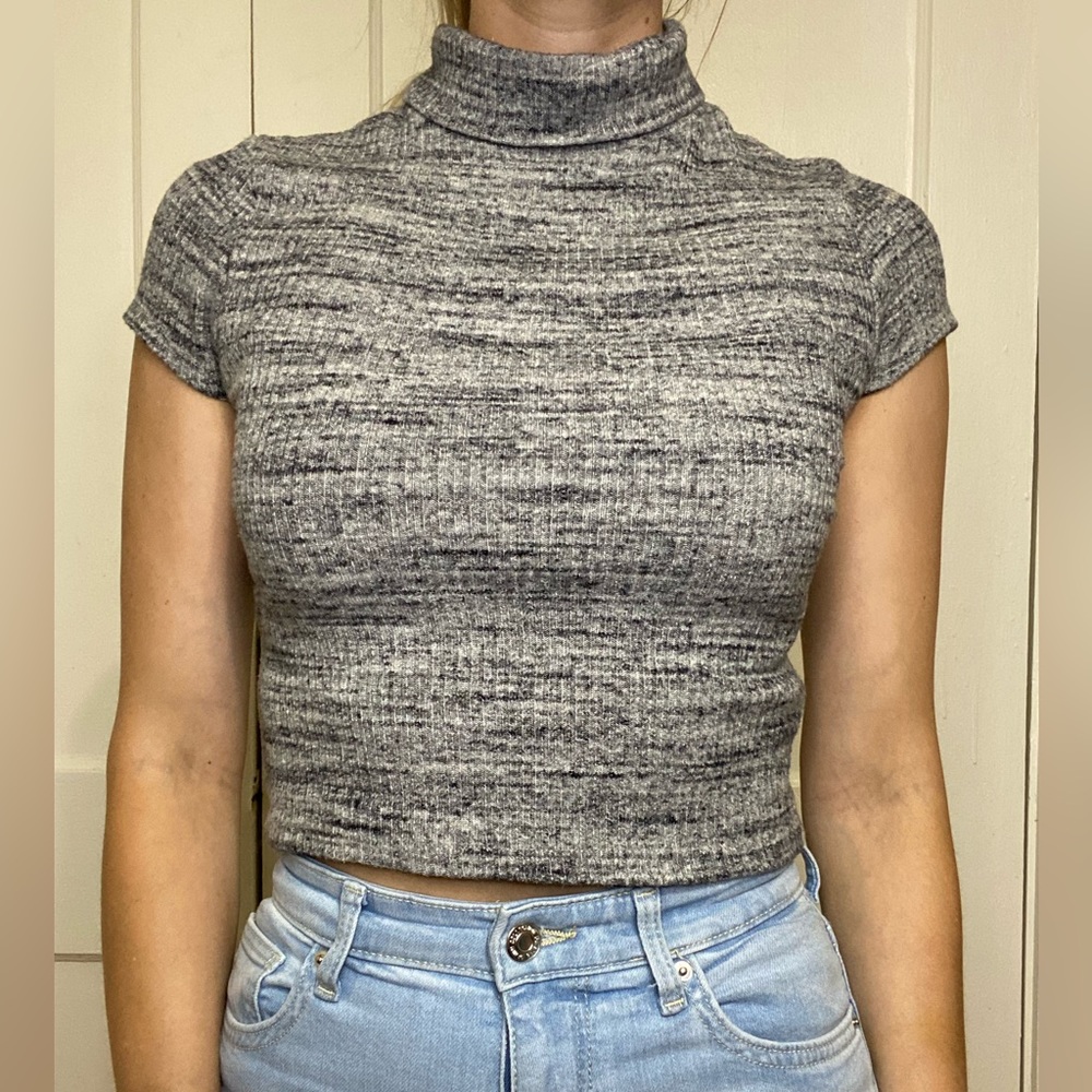 Better Be Gray Striped Turtleneck Short Sleeve Crop Top